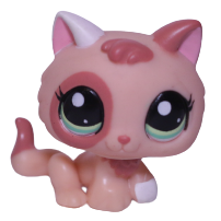 #1818 Kitten