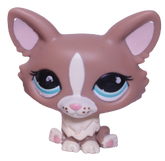 #1864 Corgi