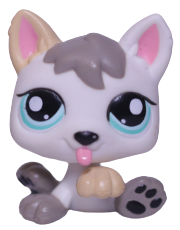 #1876 Puppy
