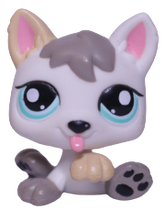 #1876 Puppy