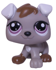 #1877 Puppy