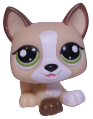 #1878 Puppy