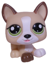 #1878 Puppy