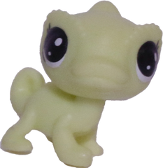 #2-57 Teensy Chameleon "Gavin Chamelle"