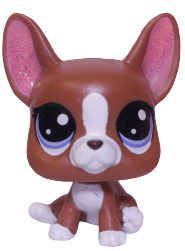 #2-92 Boston Terrier "Roxie McTerrier"