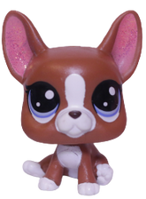 #2-92 Boston Terrier "Roxie McTerrier"