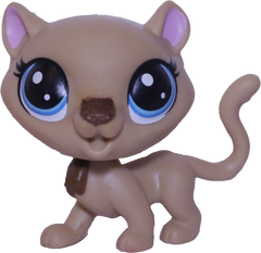 #2-S6 Cheetah "Fancie Cheetah"