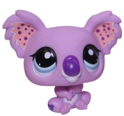 #2102 Koala