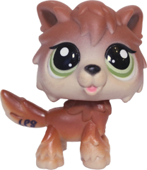 #2141 Wolf Dog