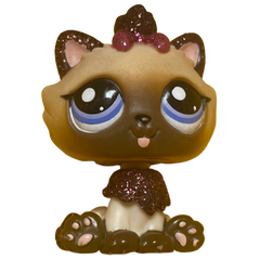 #2143 Himalayan Cat