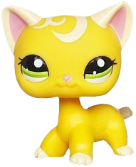 #2194 Shorthair Cat