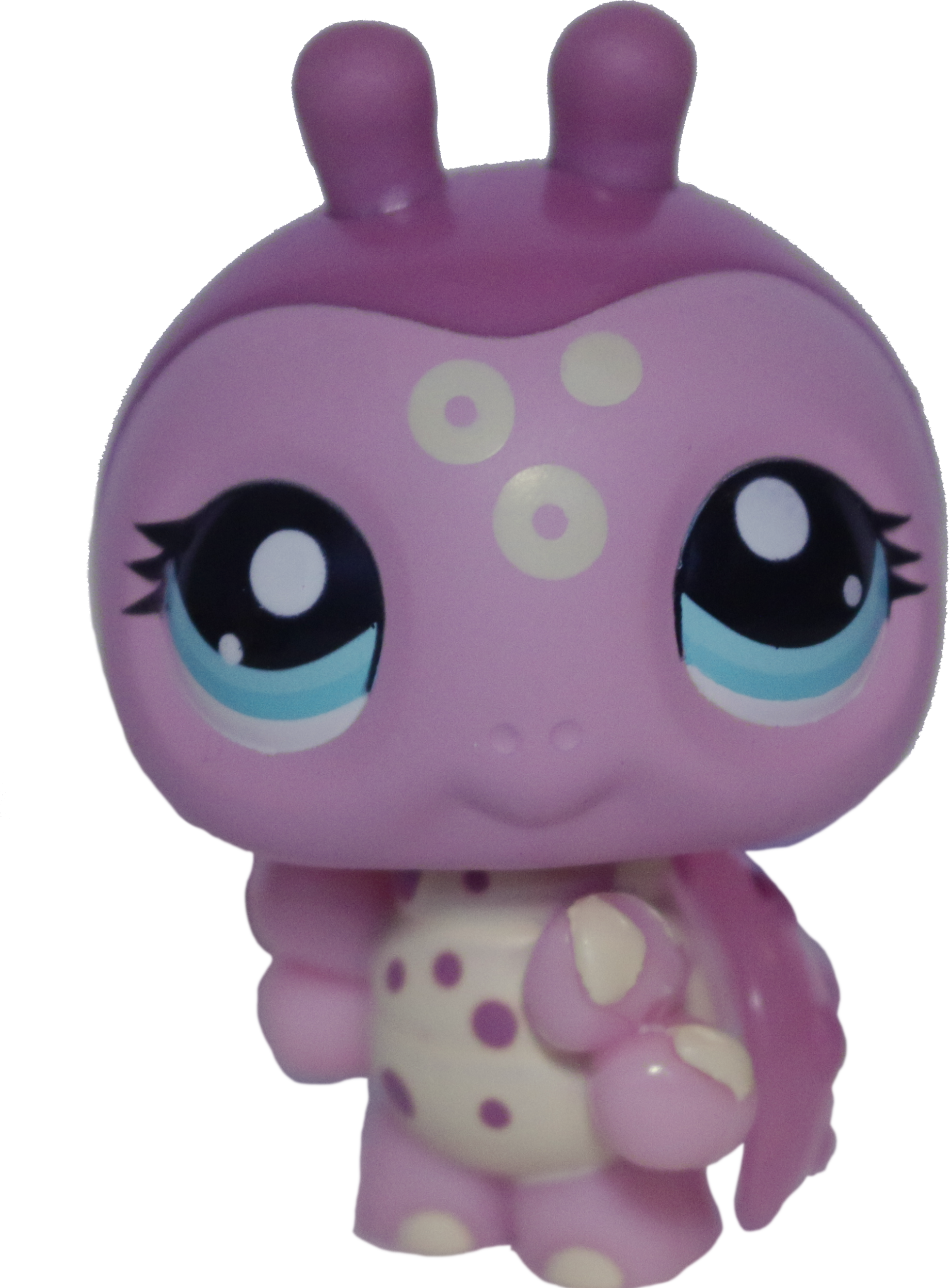 #2308 Ladybug