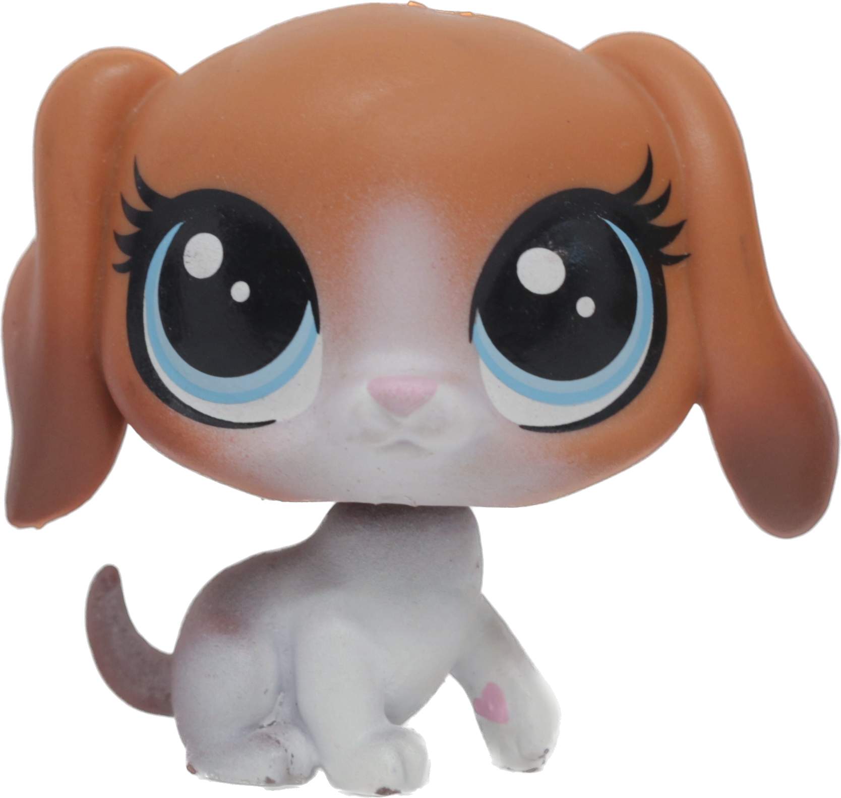 #231 Beagle