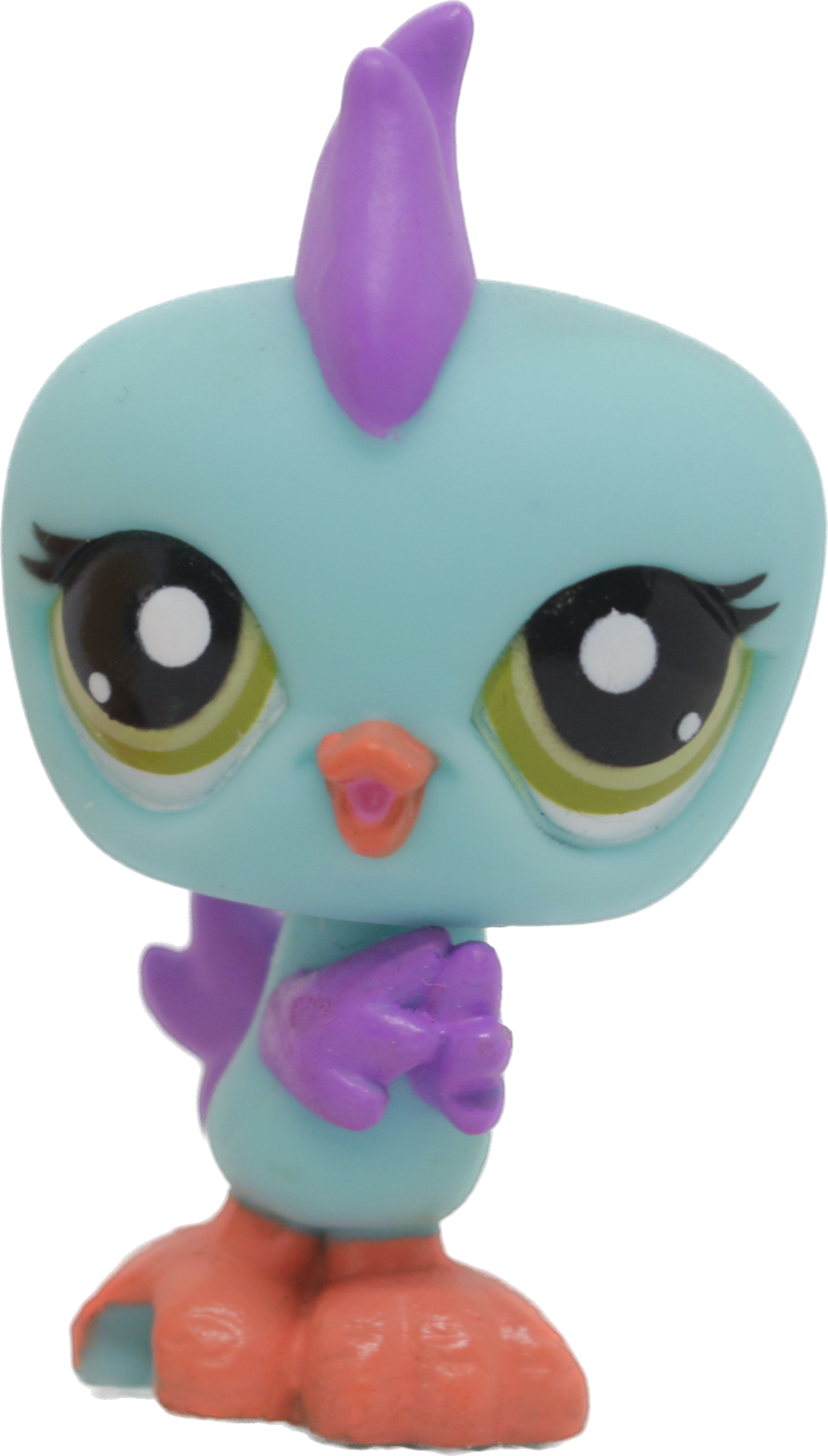 #2317 Parakeet