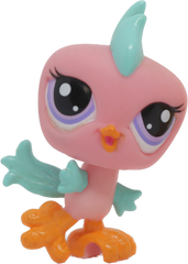 #2319 Parakeet