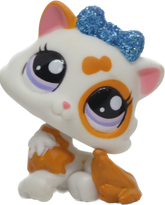 #2327 Himalayan Kitten