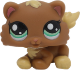 #2328 Himalayan Kitten