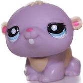 #2350 Hamster