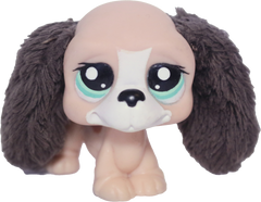 #2413 Basset Hound
