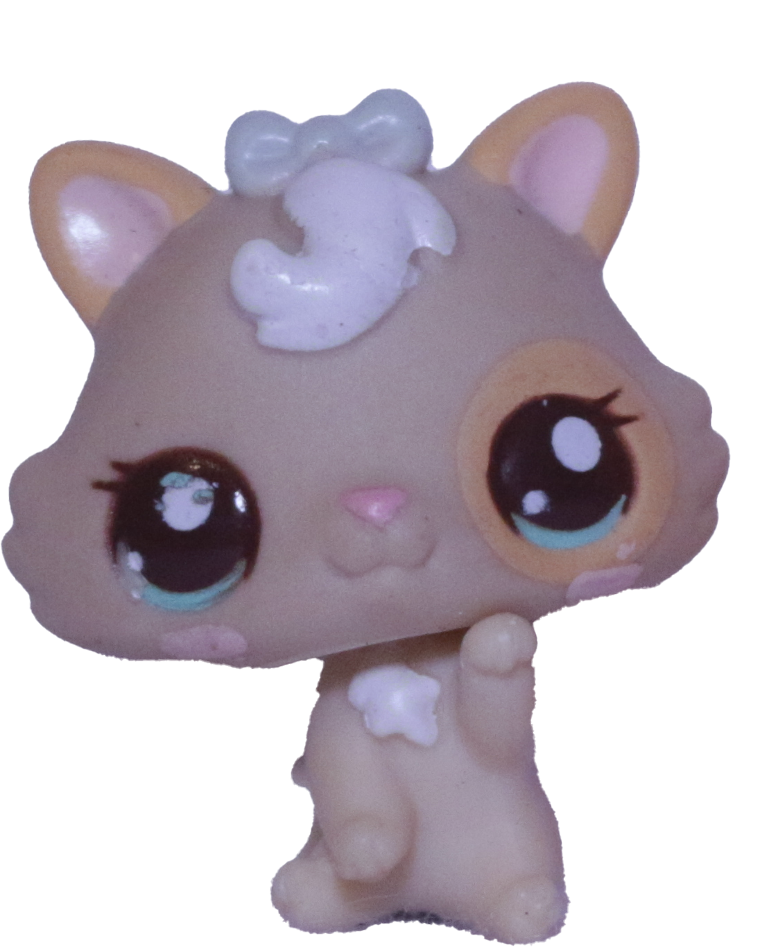 #2555 Baby Kitten