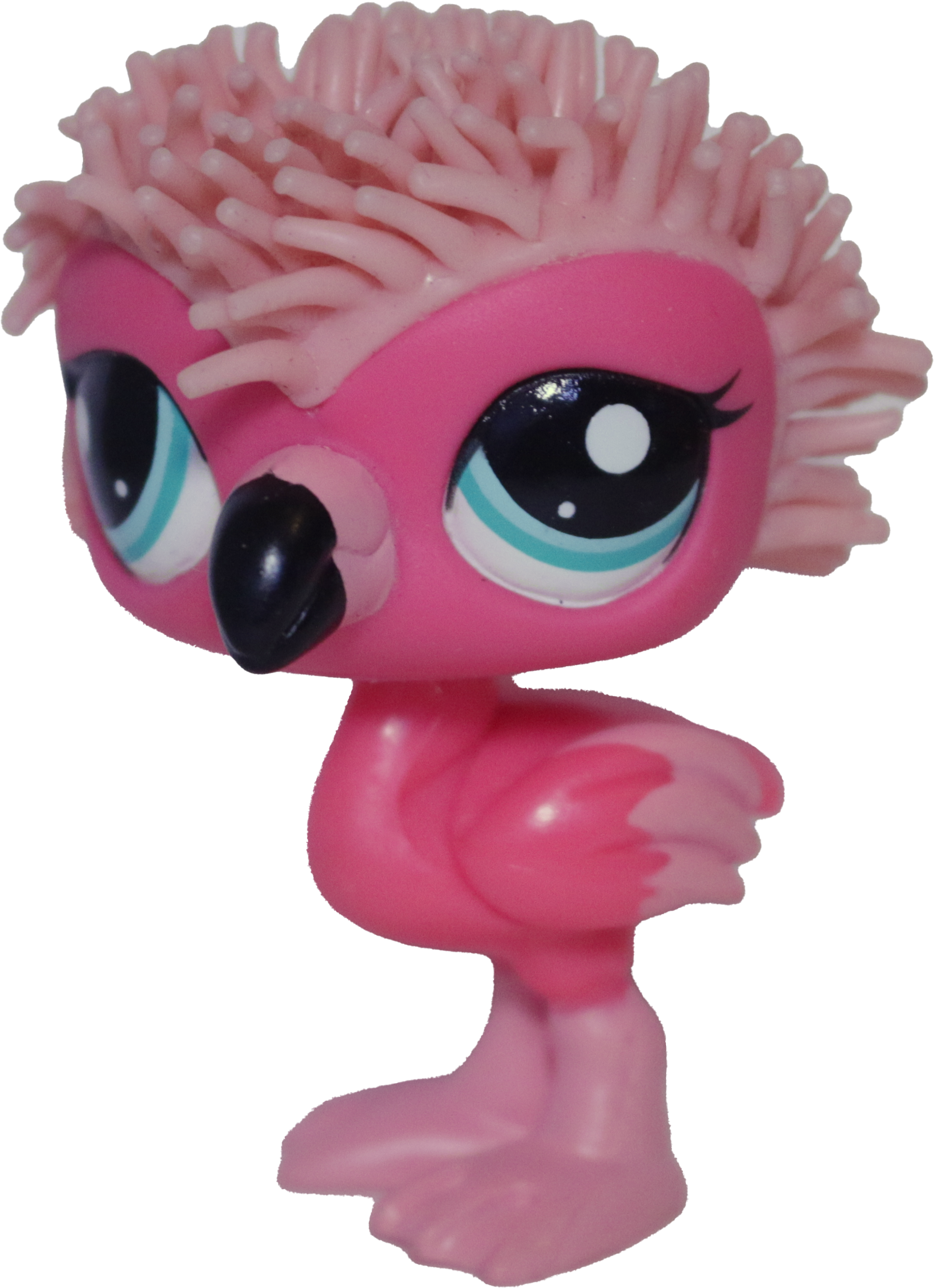 #2572 Flamingo