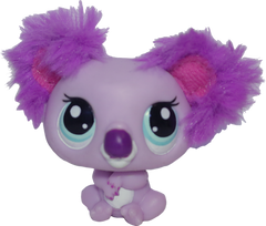 #2578 Koala