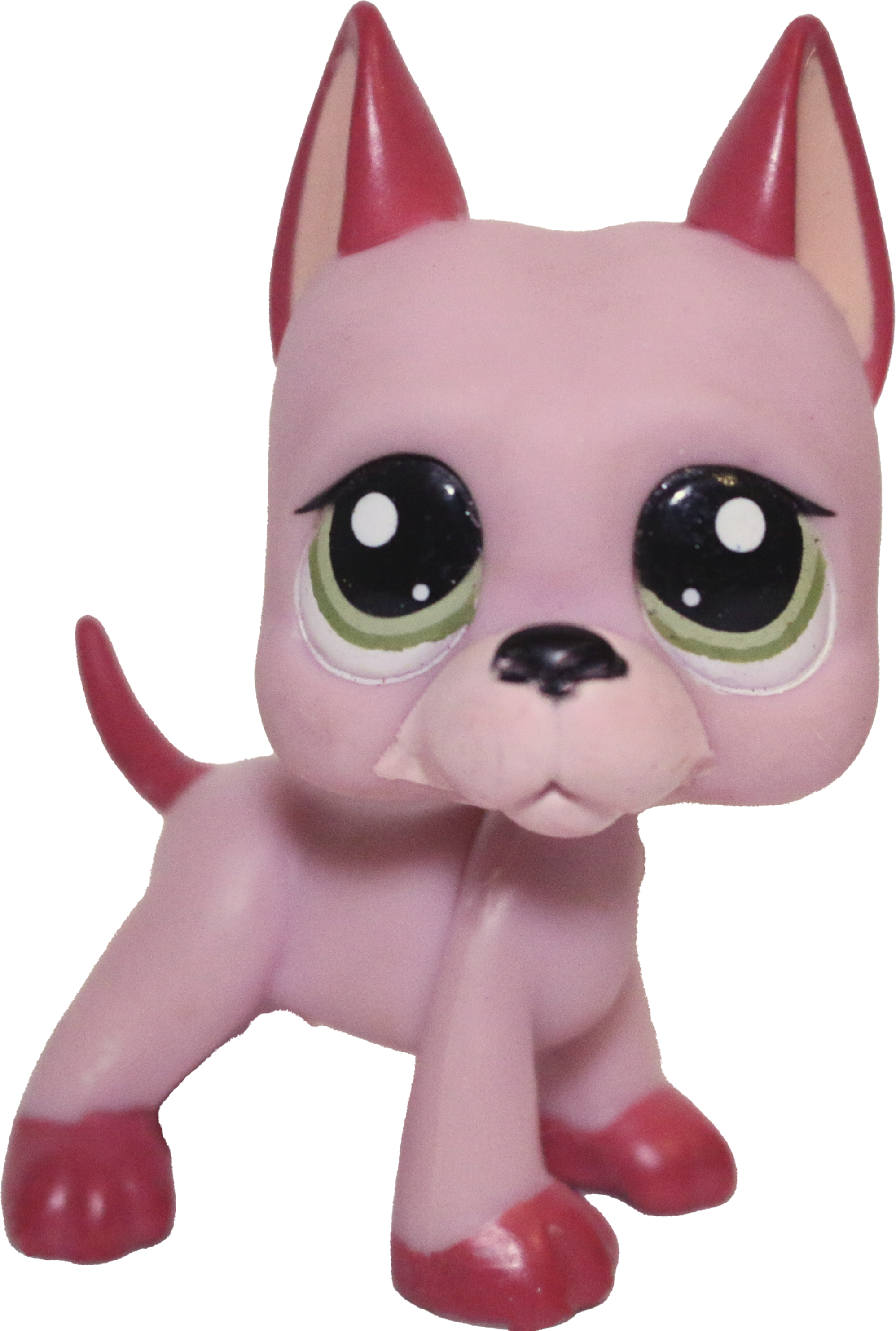 #2583 Great Dane