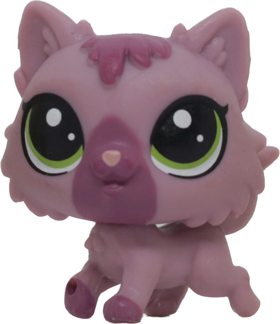 #262 Mini Kitten
