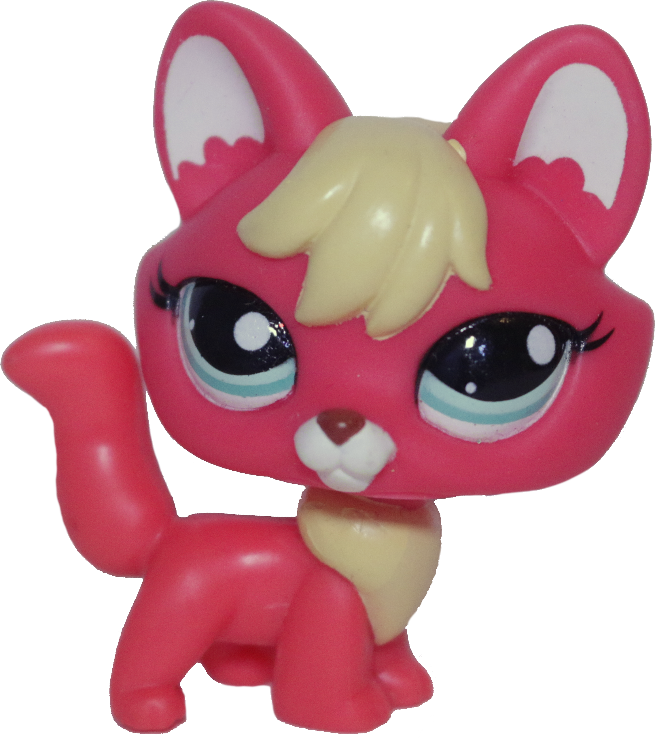 #2642 Fox