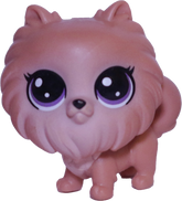 #3-163 Mini Pomeranian
