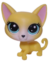 #3-186 Siamese Cat