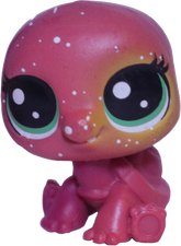 #3-19 Mini Turtle "Luna Turtleshell"