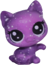 #3-39 Teensy Kitten "Bellatrix Catena"