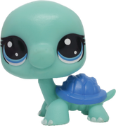 #3-41 Turtle