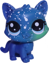 #3-6 Mini Kitten "Asteroid Tortiecat"