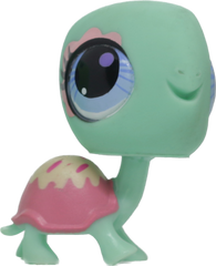 #3024 Turtle