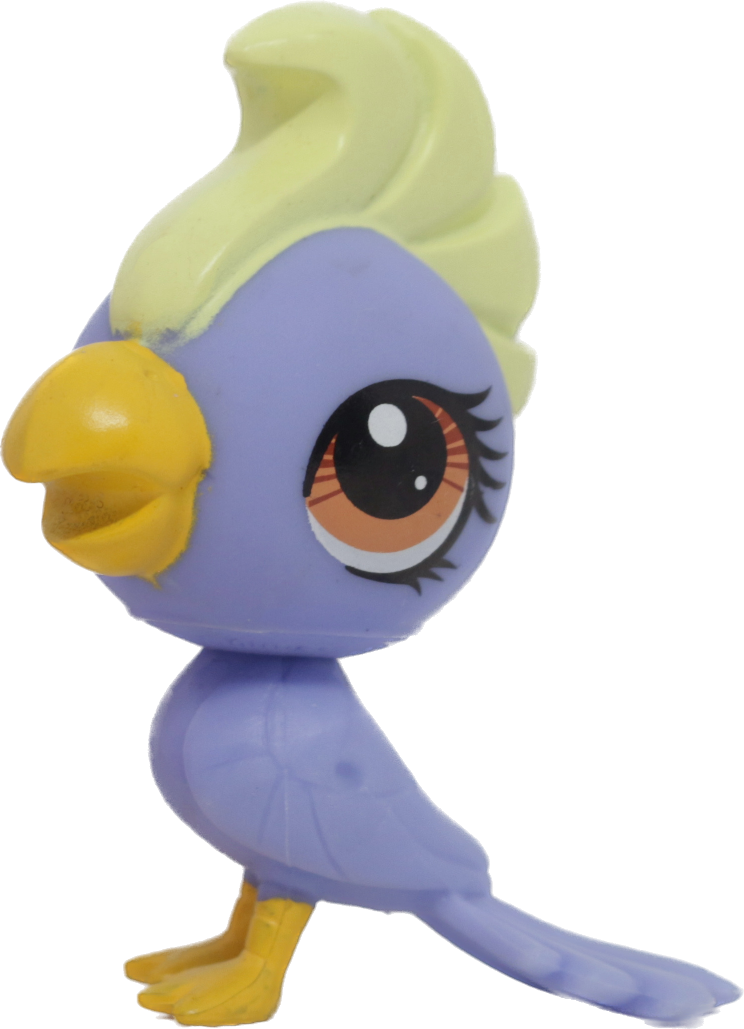 #3296 Cockatoo