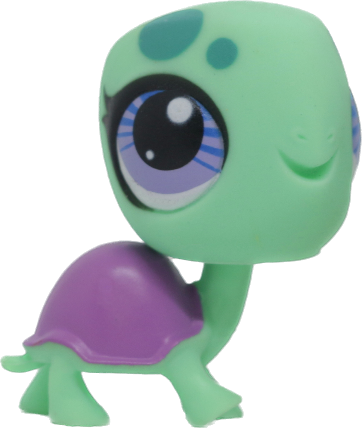 #3301 Turtle
