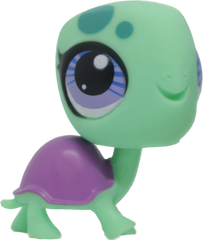 #3301 Turtle