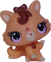 #3594 Baby Tiger Kitten