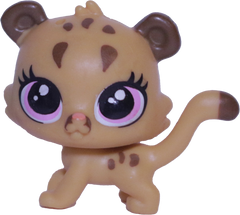 #36 Mini Cougar Kitten "Cubby Cougar"
