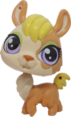 #3965 Llama