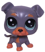 #4-153 Rottweiler
