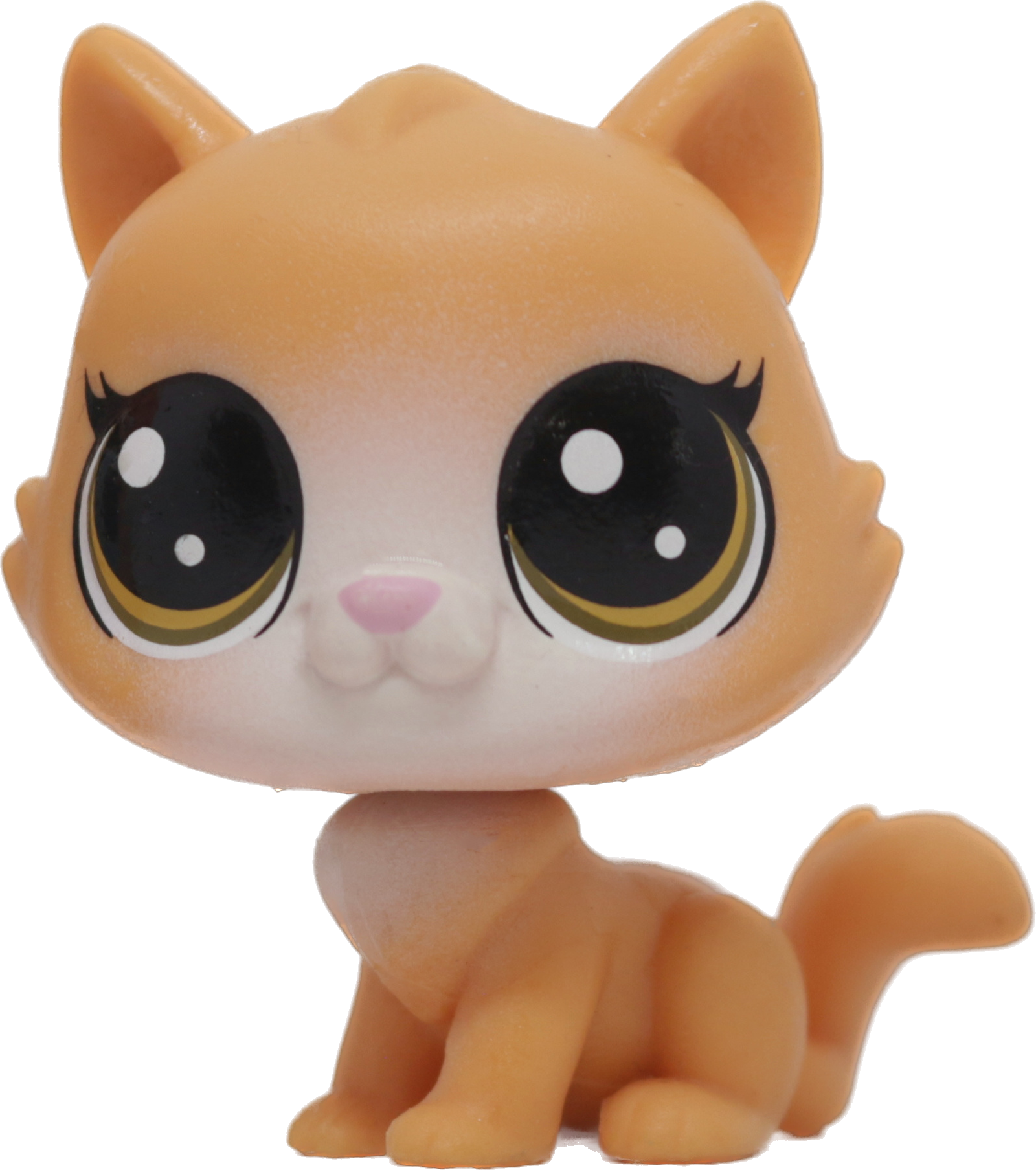 #78 Cat "Pouncy Sipton"