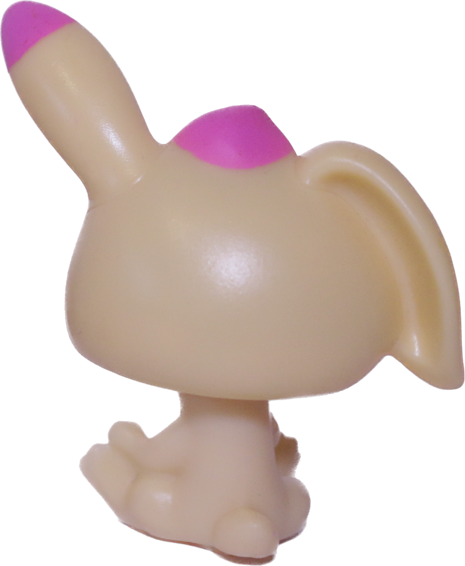 No # Rabbit