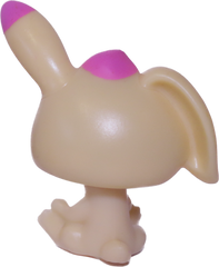 No # Rabbit