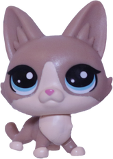 No # Mini Lynx Kitten