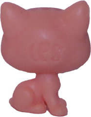 #1-103 Teensy Kitten "Bree Bengali"