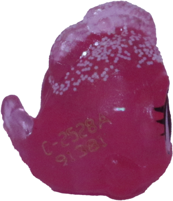 No # Teensy Fish