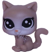 No # Teensy Kitten "Ice Capper"